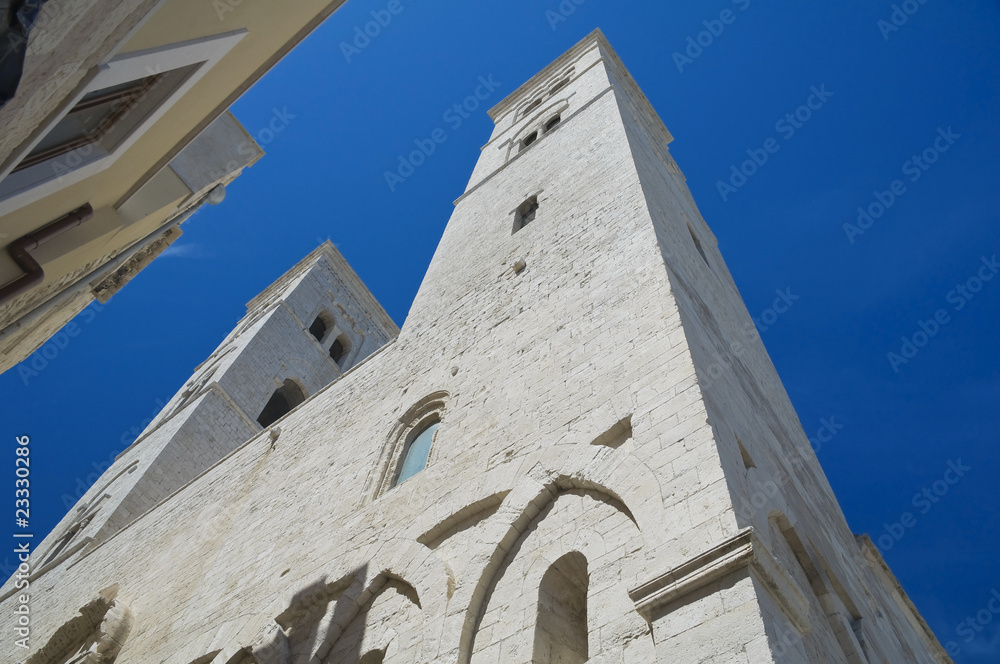 St. Corrado Dome. Molfetta. Apulia.