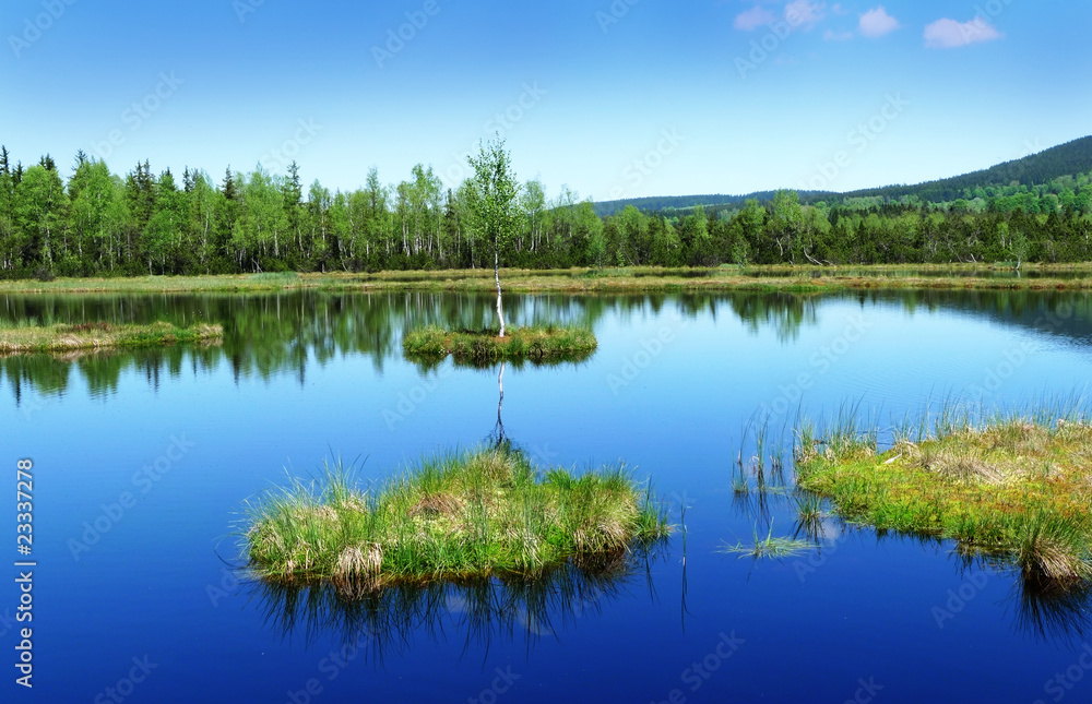 peat lake - morass in reservation