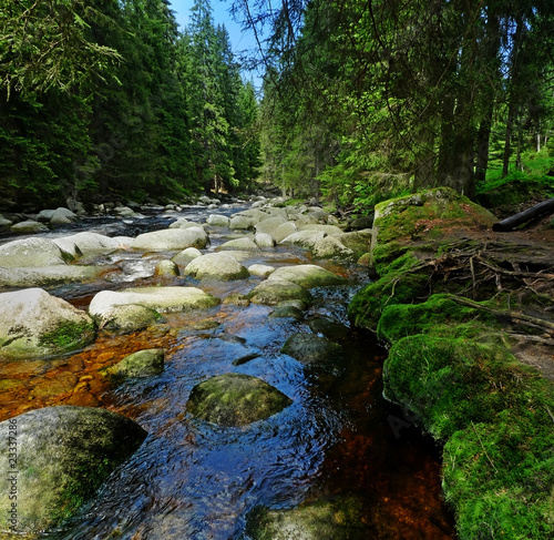 Wallpaper Mural river with big stones in forest Torontodigital.ca