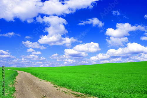 Green field with road and blue sky.