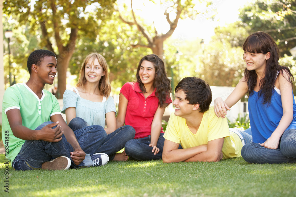 Fototapeta premium Group Of Teenagers Chatting Together In Park