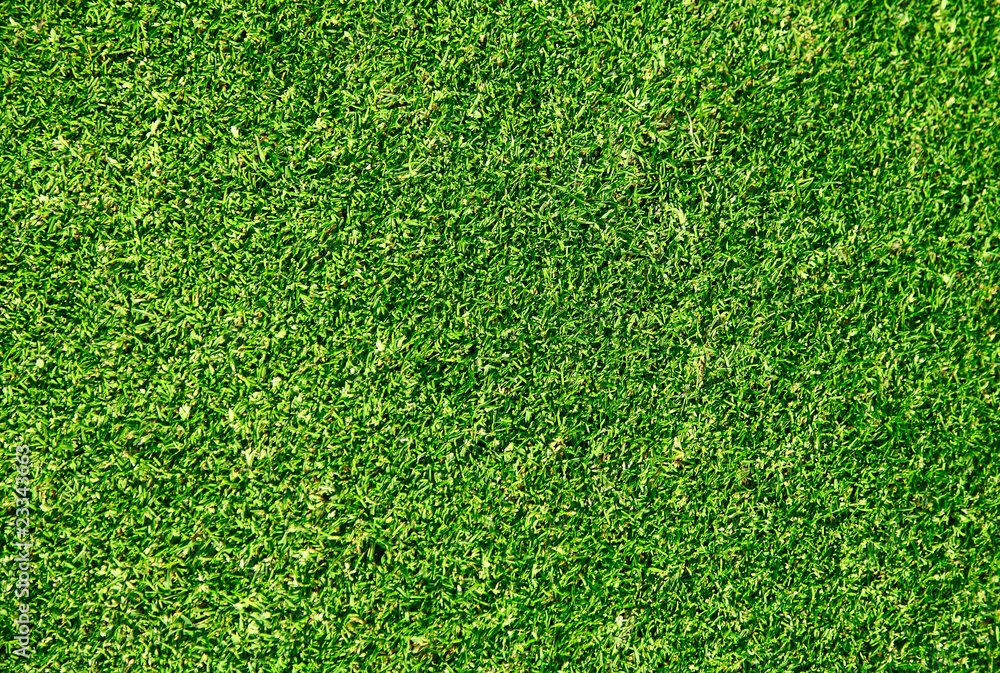 Obraz premium Ideal green grass, can be used as background