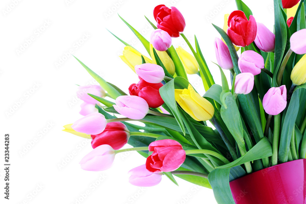 bunch of tulips bunch of tulips