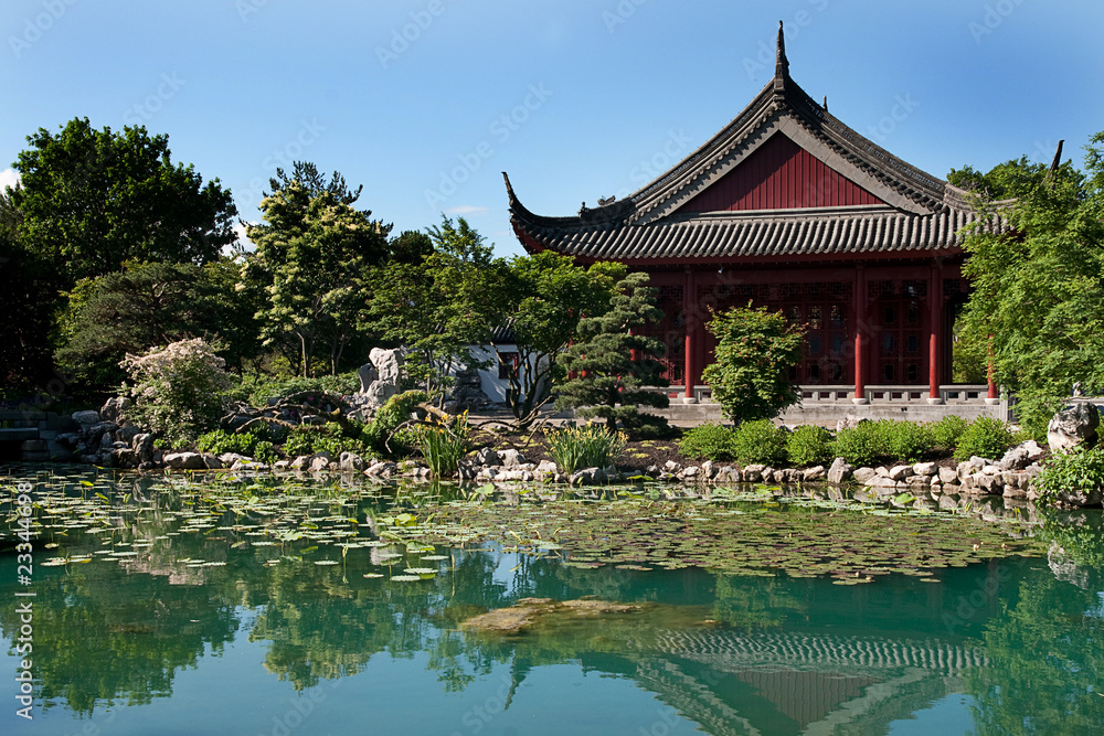 Chinese garden