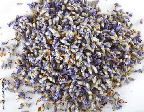 Fototapeta Naklejka Na Ścianę i Meble -  Semi di lavanda