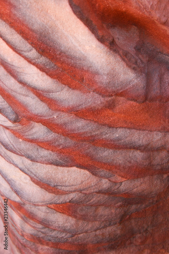 Petra Stone Texture