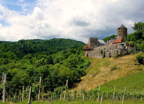 Burg Landsberg