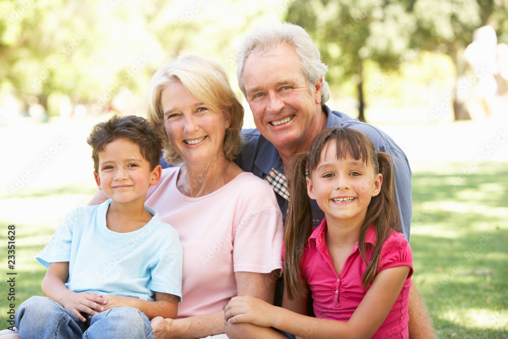 Obraz premium Grandparents And Grandchildren Enjoying Day In Park