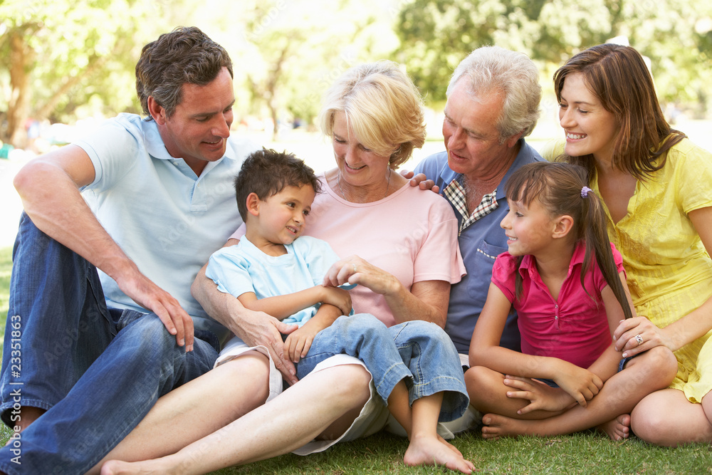 Extended Group Portrait Of Family Enjoying Day In Park Extended Group Portrait Of Family Enjoying Day In Park