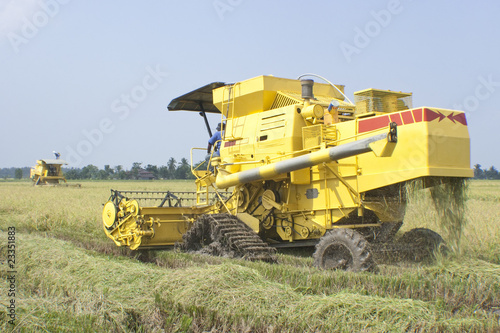 Two harvesting machine is used to harvest Malaysia paddy