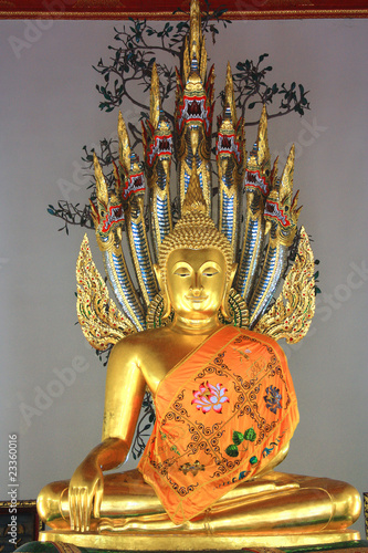 Buddha image photo