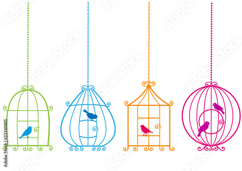 lovely birdcages with birds, vector