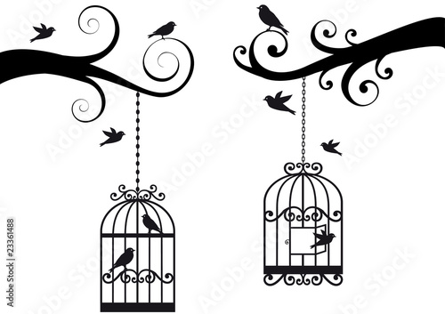 bircage and birds, vector