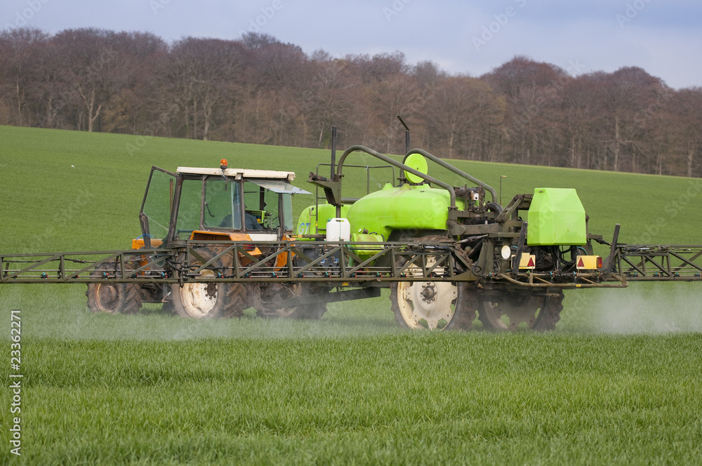 Fototapeta premium Tracteur pulvérisant du désherbant sur un champ de blé