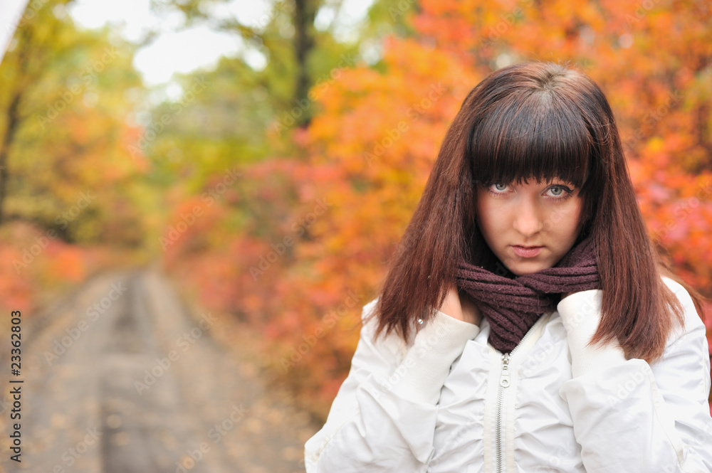 The girl in an autumn forest The girl in an autumn forest