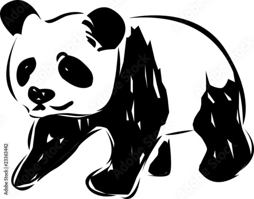 panda vector illustration