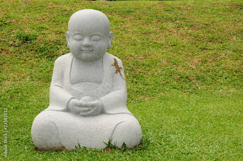 Photography Young Buddha Statue In The Field