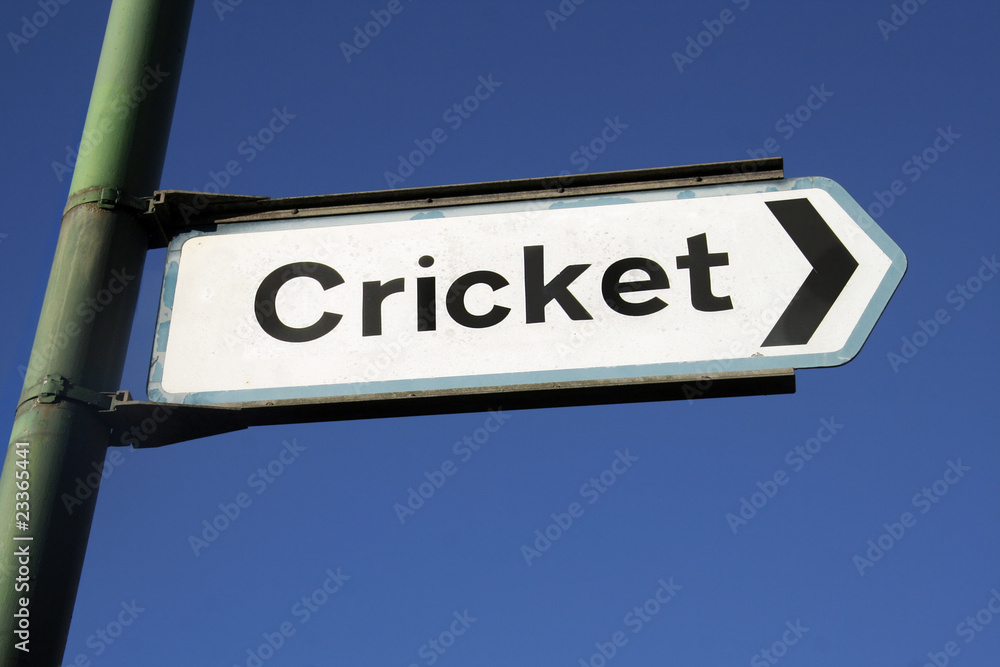 Fototapeta premium To the cricket
