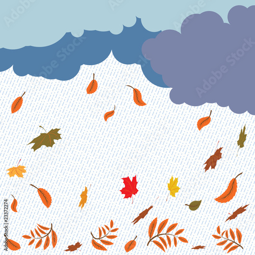 rain and leaf fall