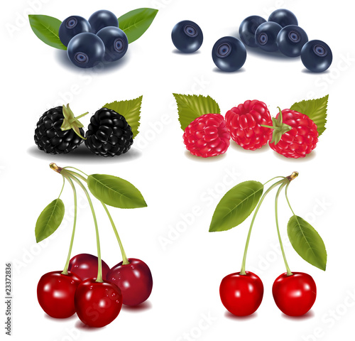 Photo-realistic vector illustration. Group of berries.