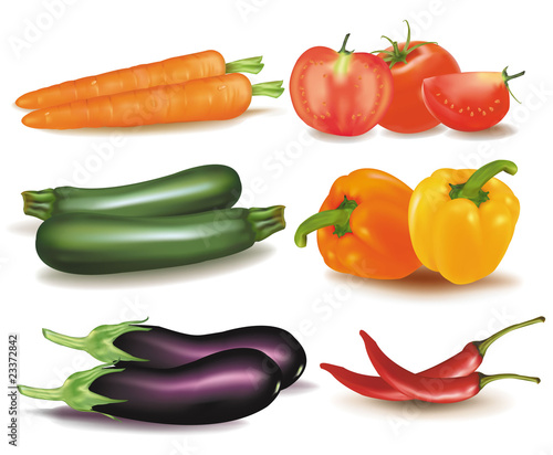 The big colorful group of vegetables. Photo-realistic vector.