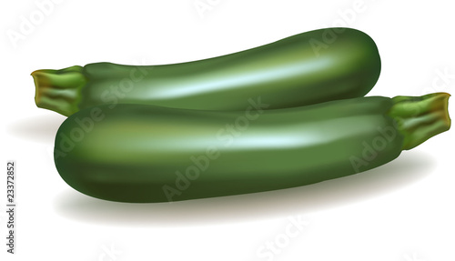 Green zucchini vegetable. Vector.