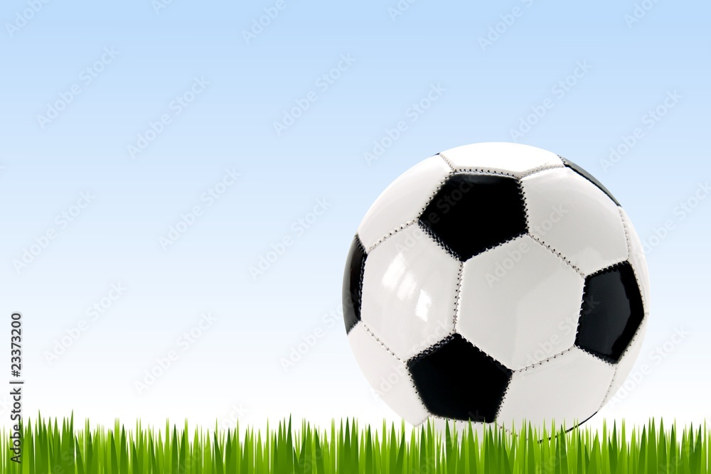 Fototapeta premium soccer football fußball