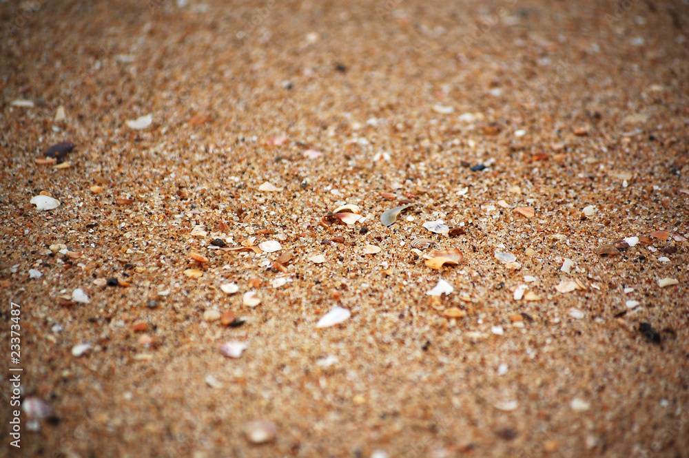 Texture of sand and sea shells (focus middle) Texture of sand and sea shells (focus middle)