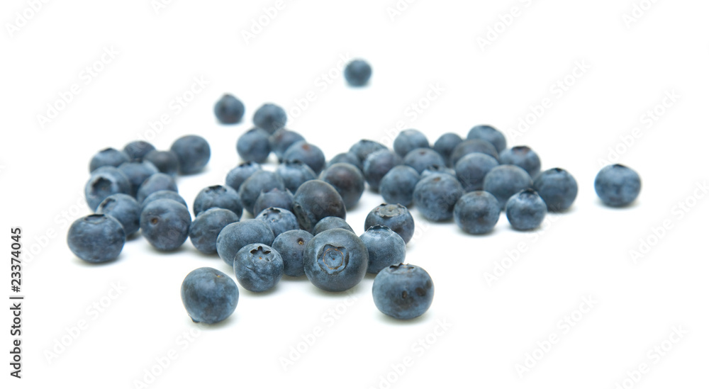 fresh blueberries isolated on white background fresh blueberries isolated on white background