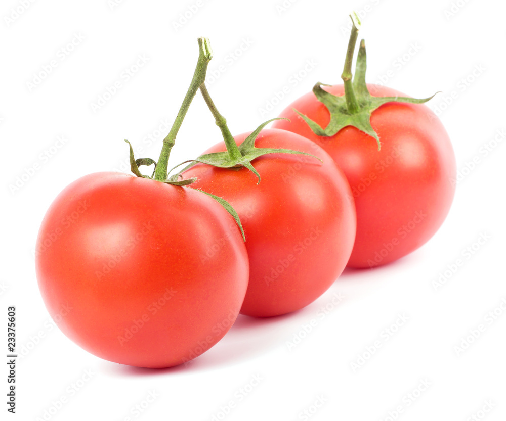 Tomato fruits on white background Tomato fruits on white background