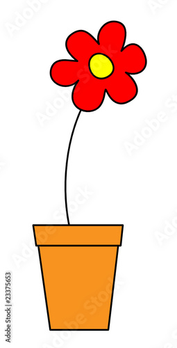 Blume