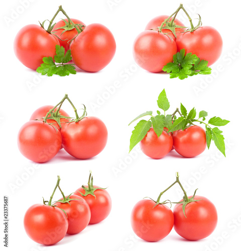 Set tomato fruits on white background