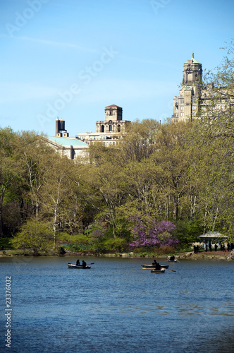 Fotografia Park View