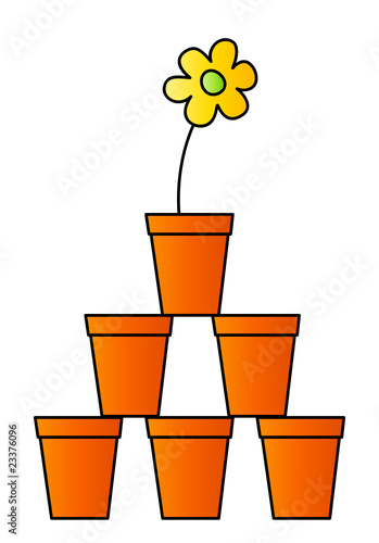 Blume