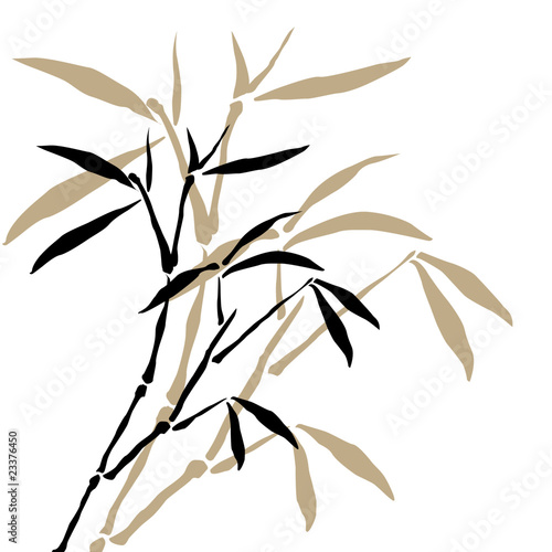 Bamboo branches