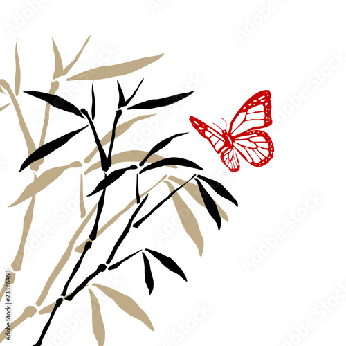 bamboo branches and butterfly