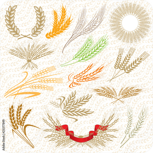 Wheat ears & laurel wreath & wheat sheafs