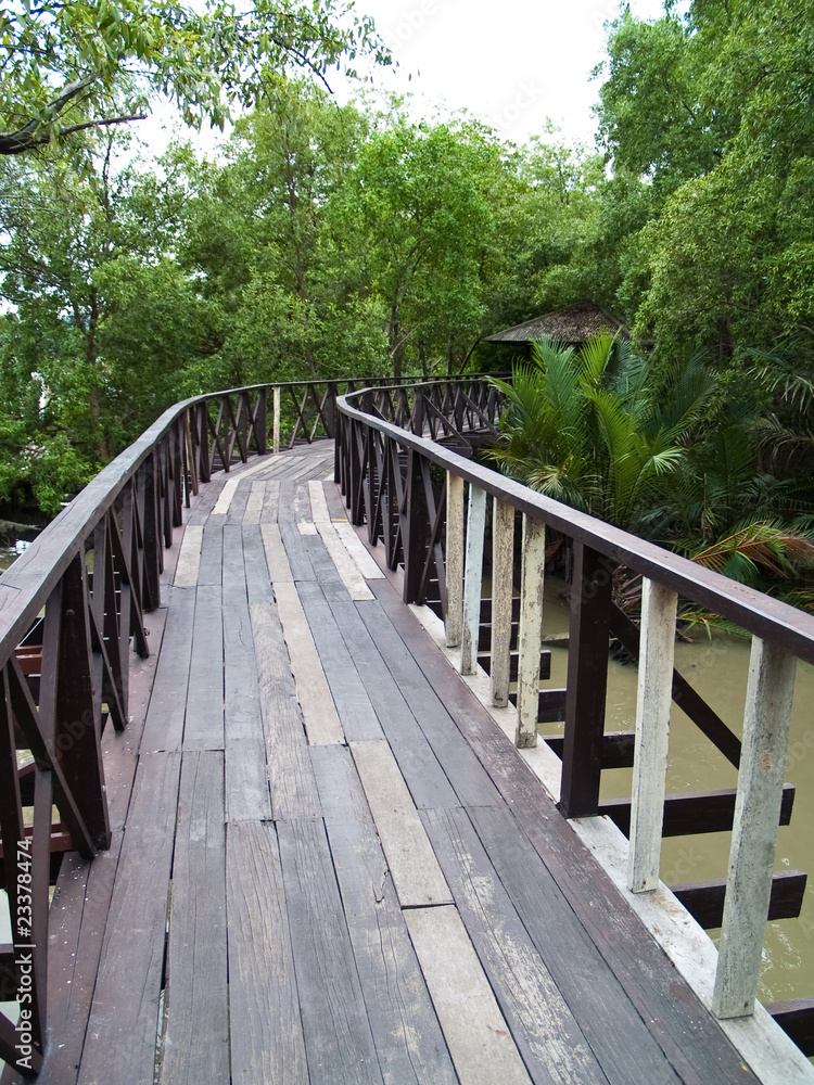 Wood bridge in mangrove forest Wood bridge in mangrove forest