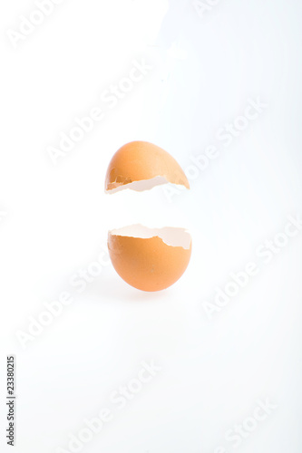 egg shell