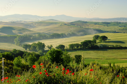 Toskana Huegel - Tuscany hills 19