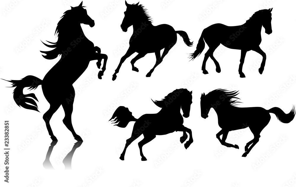 five horses