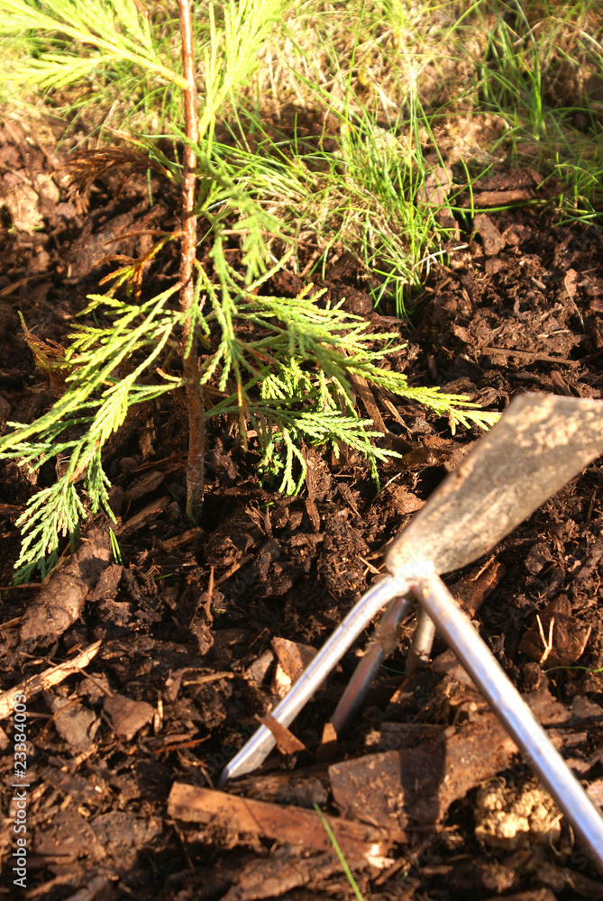 Gartenarbeit Gartenarbeit