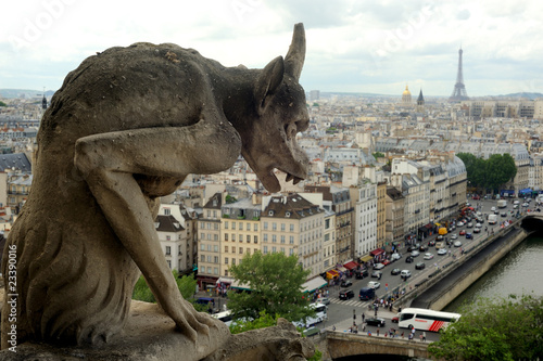 Gargouille de la cathédrale notre dame de Paris
