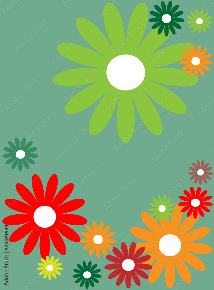Summer flowers Summer flowers