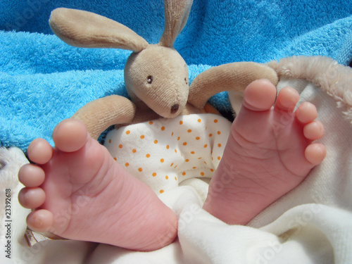 pieds de bébé et son doudou lapin photo