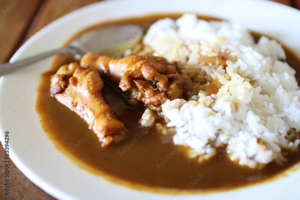 Japanese Curry , Chicken Curry with Rice