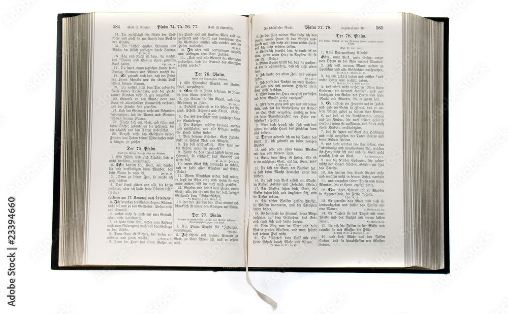Obraz premium Alte Bibel