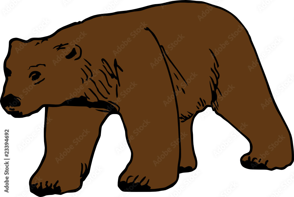 Fototapeta premium bear vector illustration