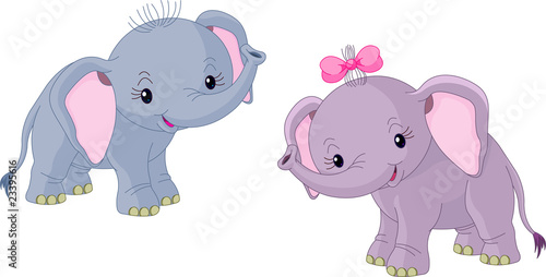 Photography Two Babies elephants