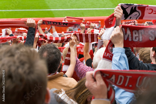 Zuschauer, Fußballfan, Stadion, Jubel